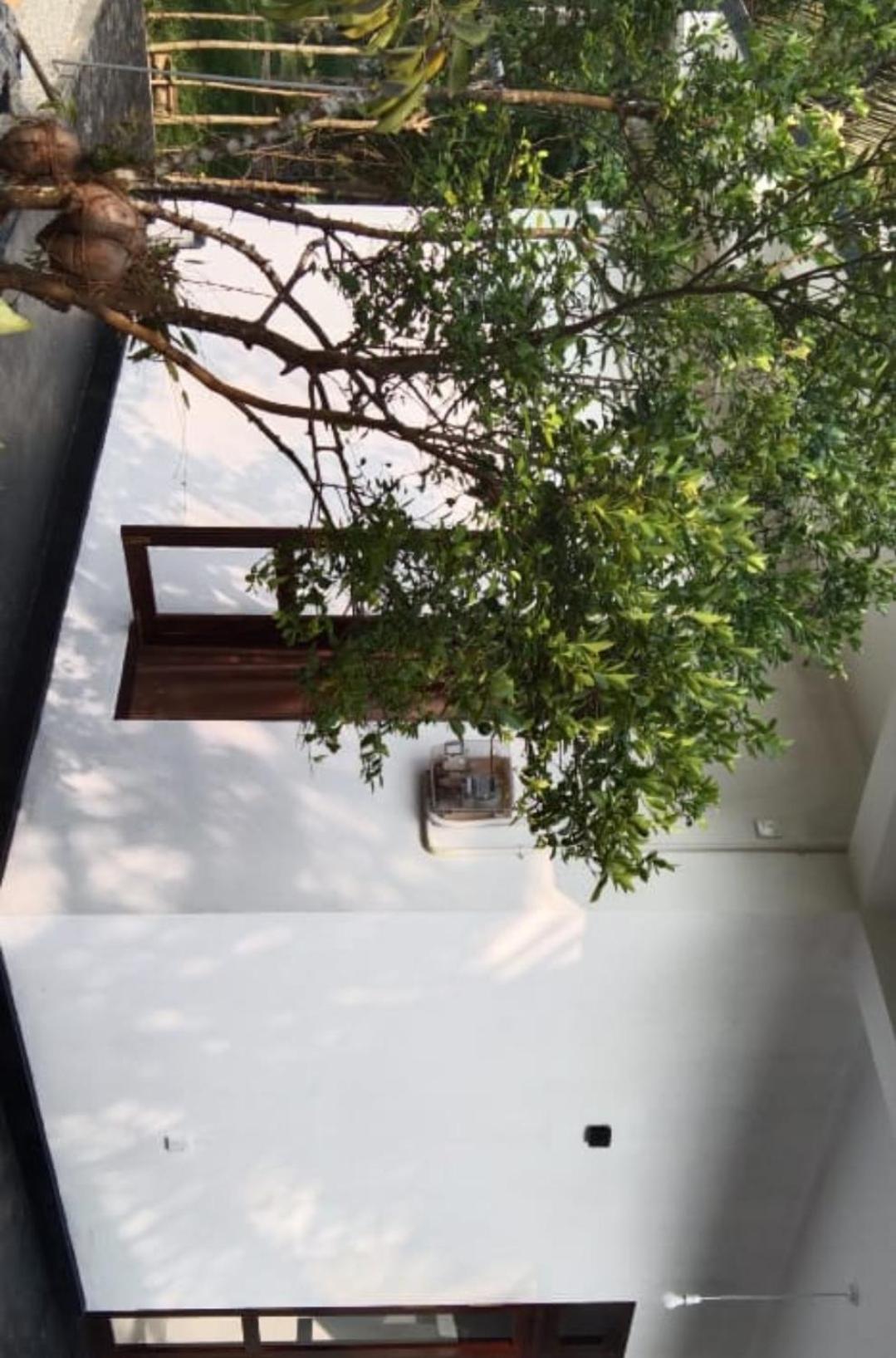 Villa Elegant - Велигама Экстерьер фото